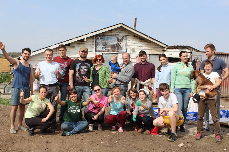 Реалізація проекту соціальної дії «Встановлення паркану для притулку для собак