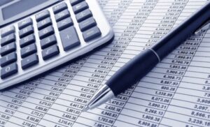 Бюджет ГО “Молодіжної організації “СТАН” на 2017 рік (інфографіка)