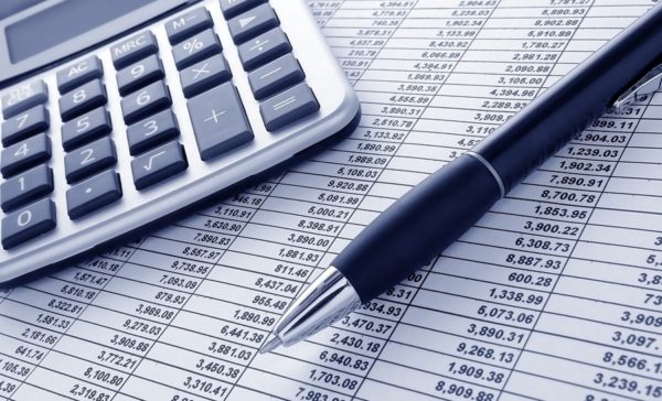 Бюджет ГО “Молодіжної організації “СТАН” на 2017 рік (інфографіка)